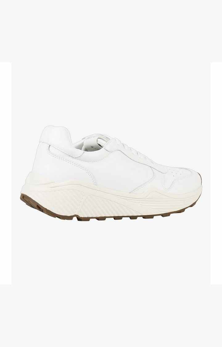 Sardan White Sneakers