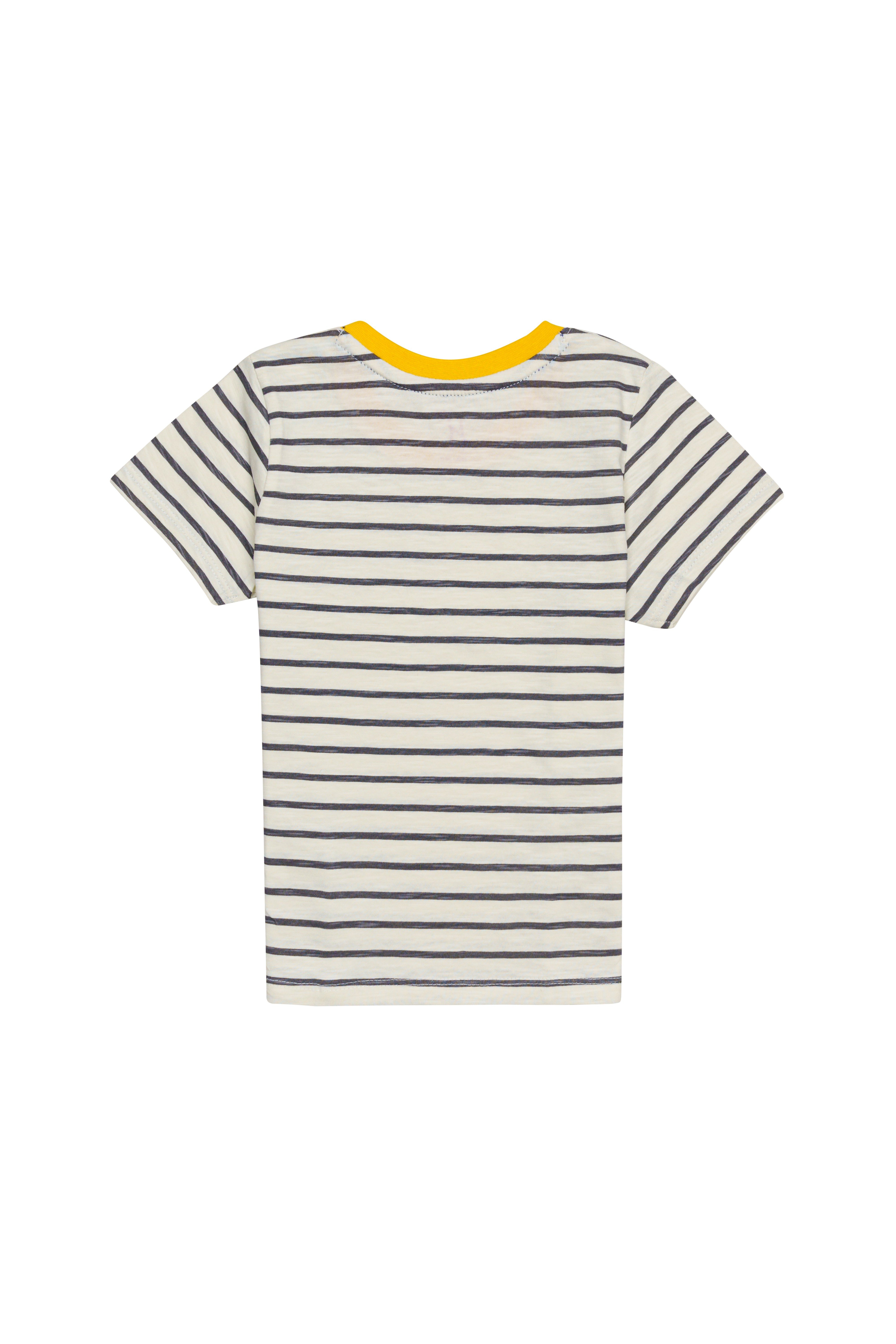 H by Hamleys Boys 100% Cotton Short Sleeves T-Shirt - Multi
