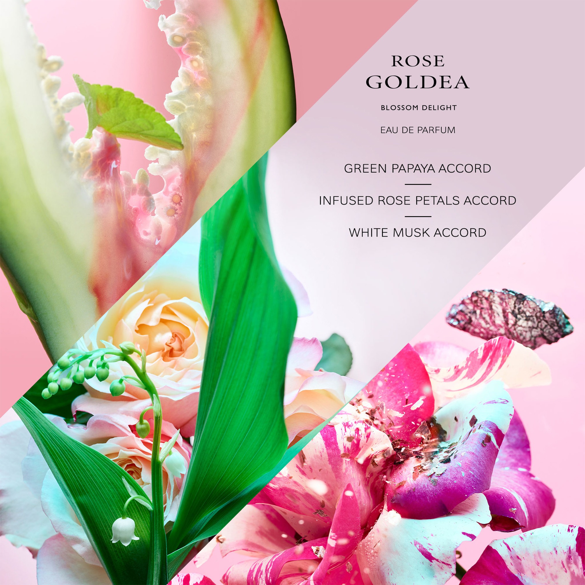 Rose Goldea Blossom Delight Eau De Parfum • 50ml