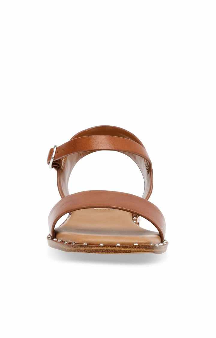 Treated Brown Flats