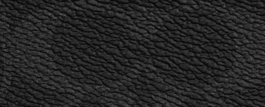 Zip Card Case In Signature