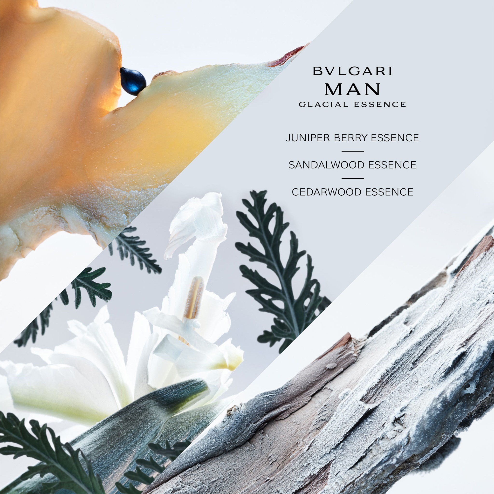 Man Glacial Essence Eau De Parfum • 100ml