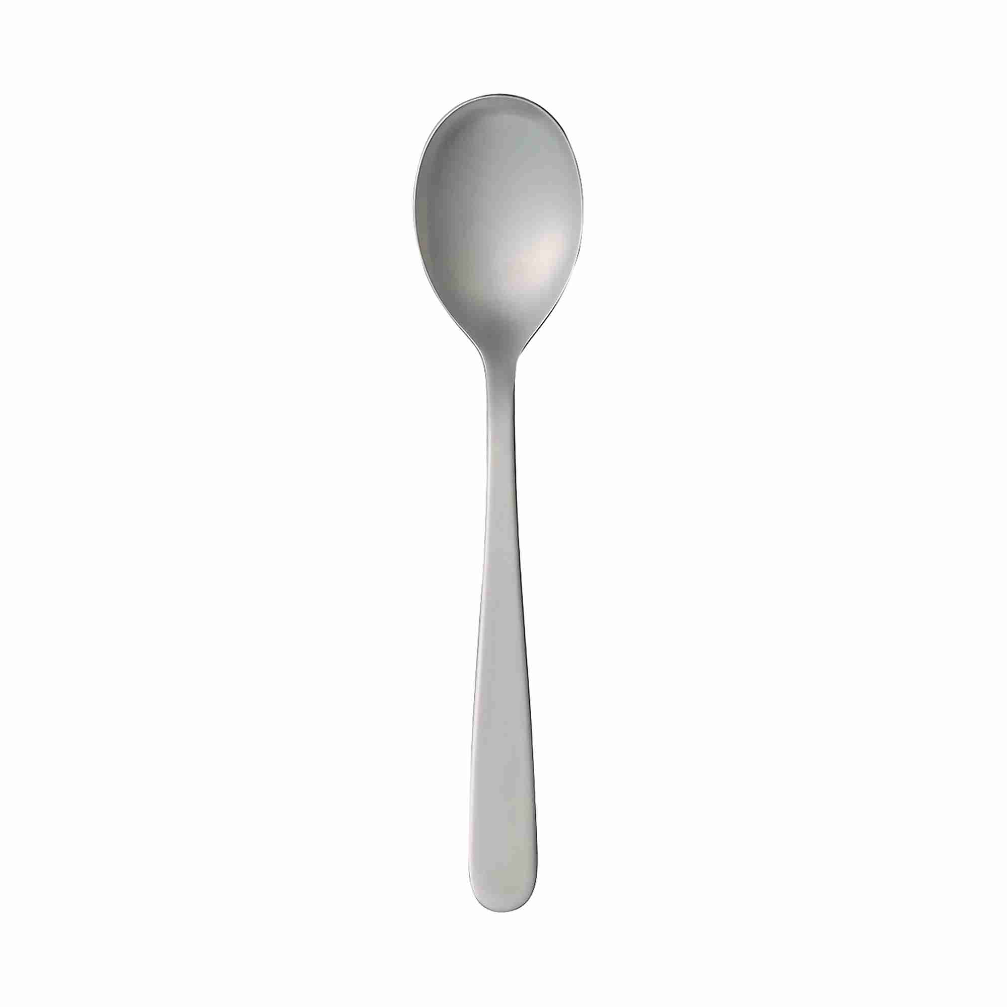 STAINLESS STEEL TABLE SPOON