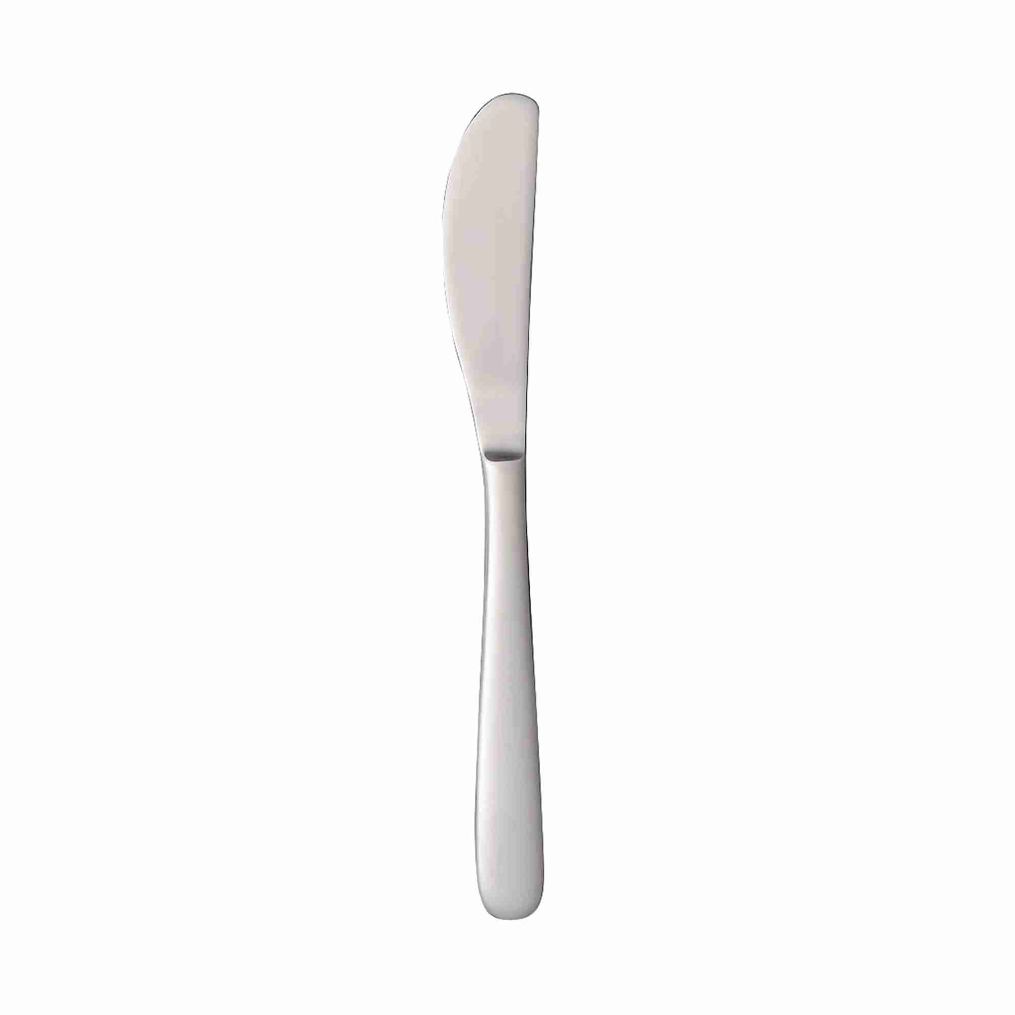STAINLESS STEEL BUTTER SPREADER