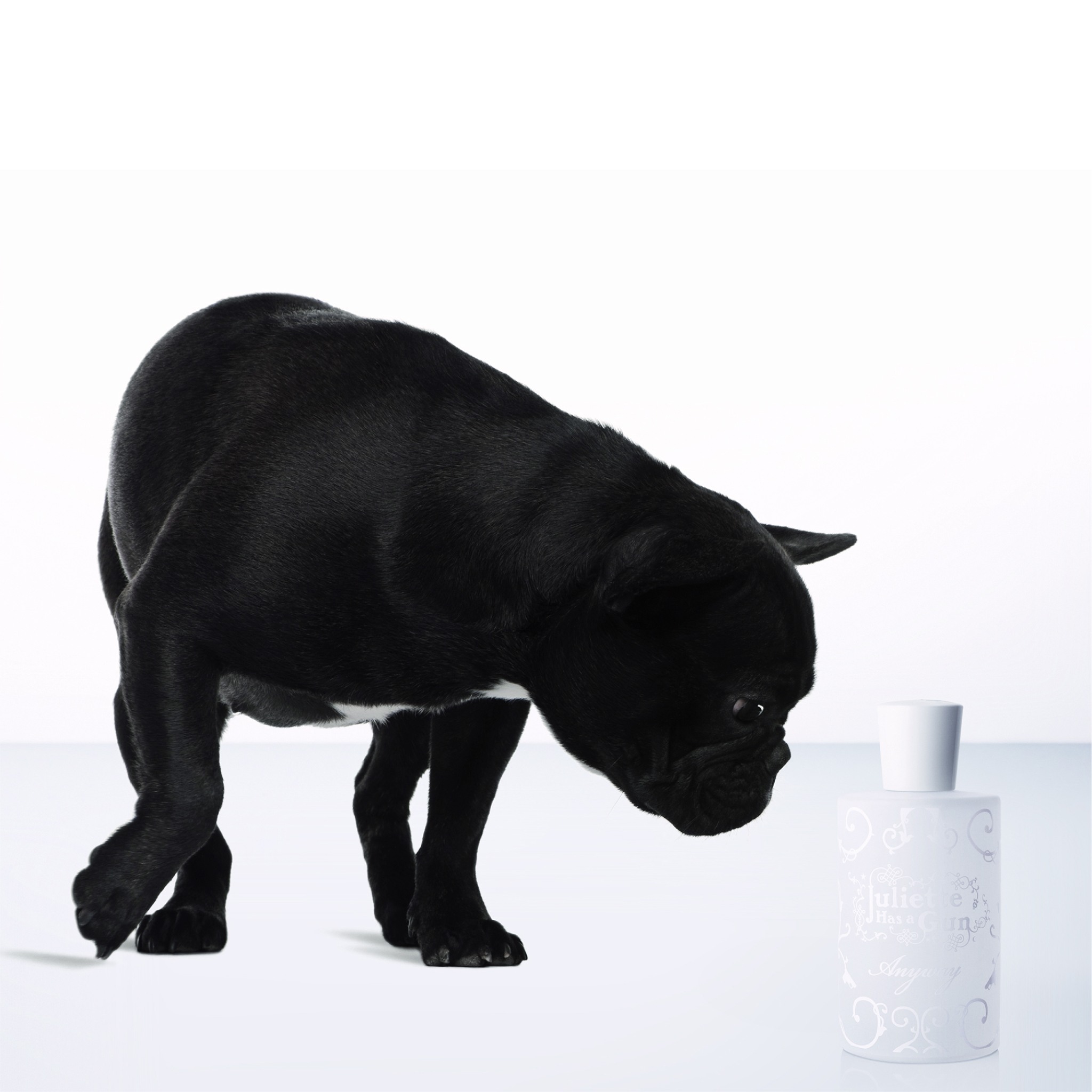 Anyway EDP • 100ml