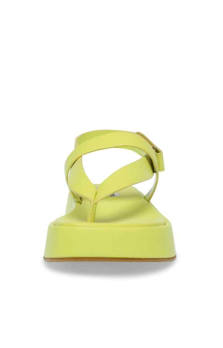 Big Time Yellow Flats