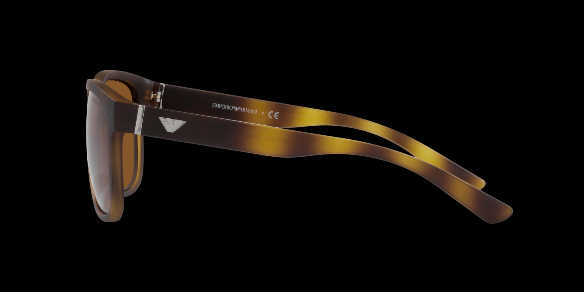 0EA4182U Injected Men Sunglasses