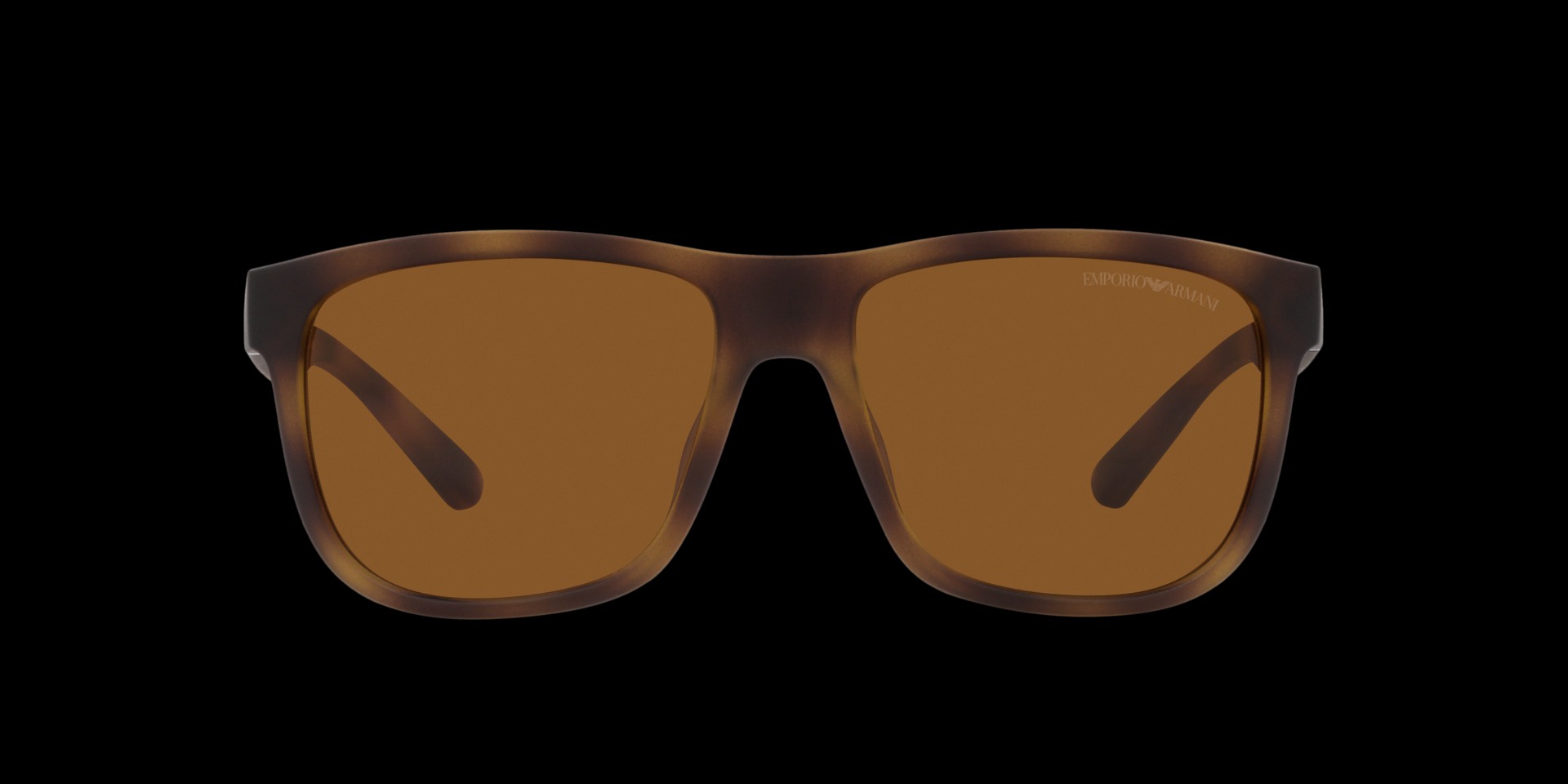 0EA4182U Injected Men Sunglasses