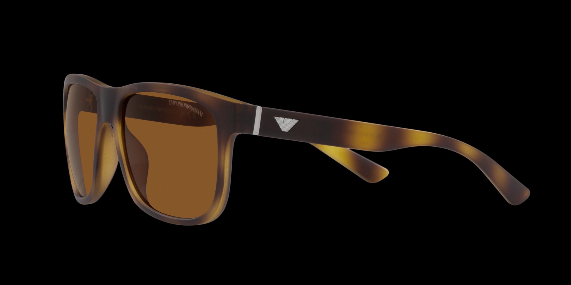 0EA4182U Injected Men Sunglasses