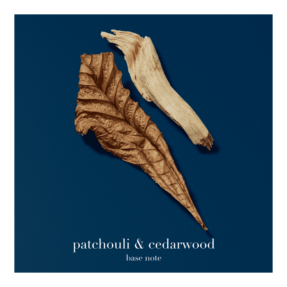 Acqua Di Gio Profondo Eau De Parfum • 125ml