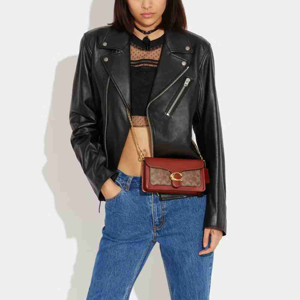 Tabby Chain Clutch In Signature Canvas