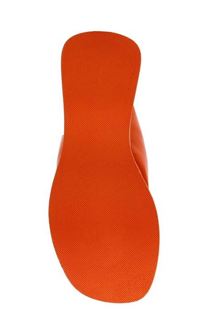 Concept Orange Wedges