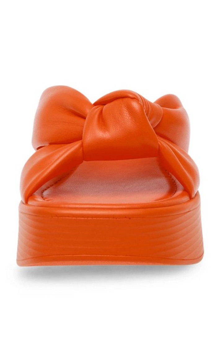 Concept Orange Wedges