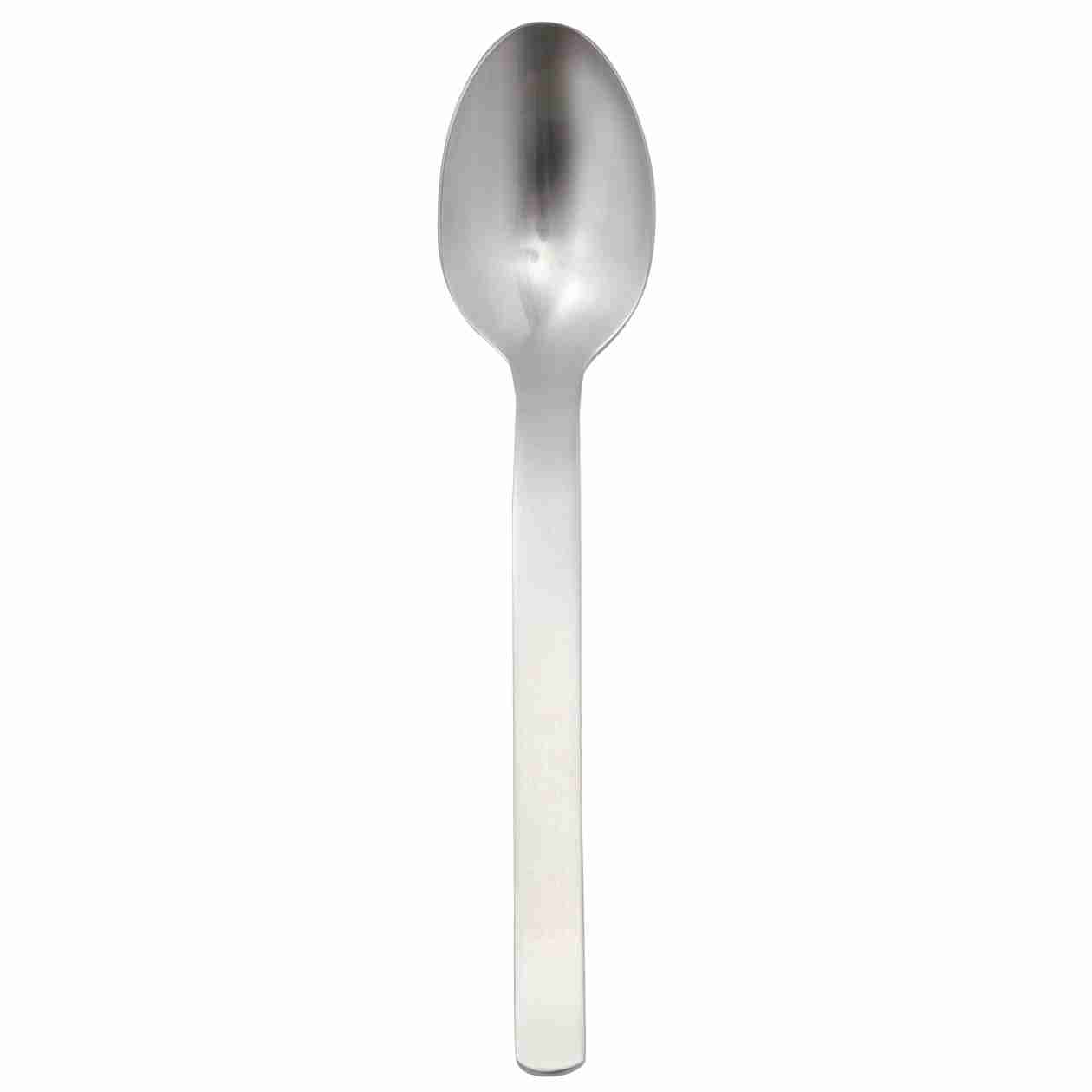 STAINLESS STEEL SPOON / S