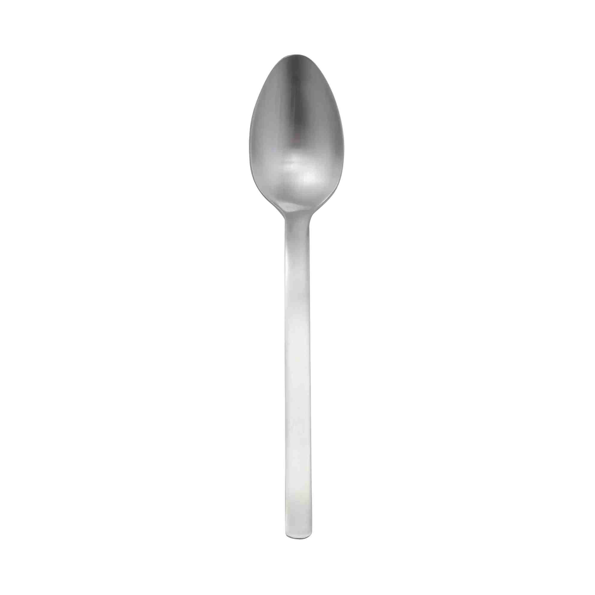STAINLESS STEEL SPOON / L