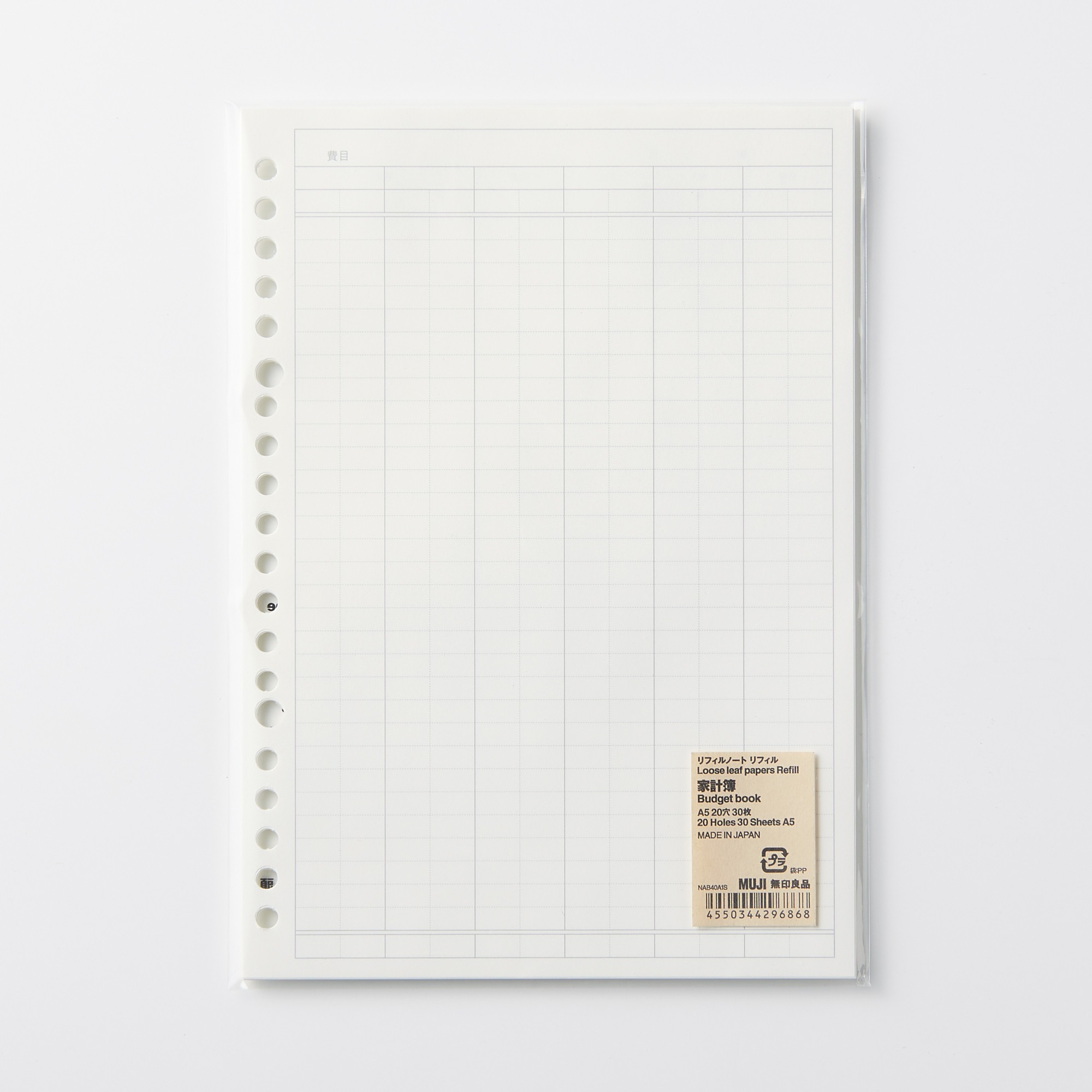 Loose leaf papers Refill Budget book