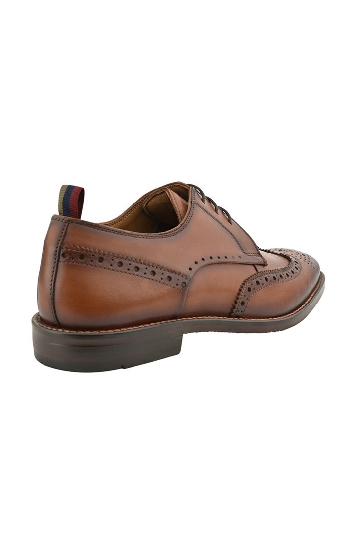 Sm-1565 Brown Tie-Ups & Dress Loafers
