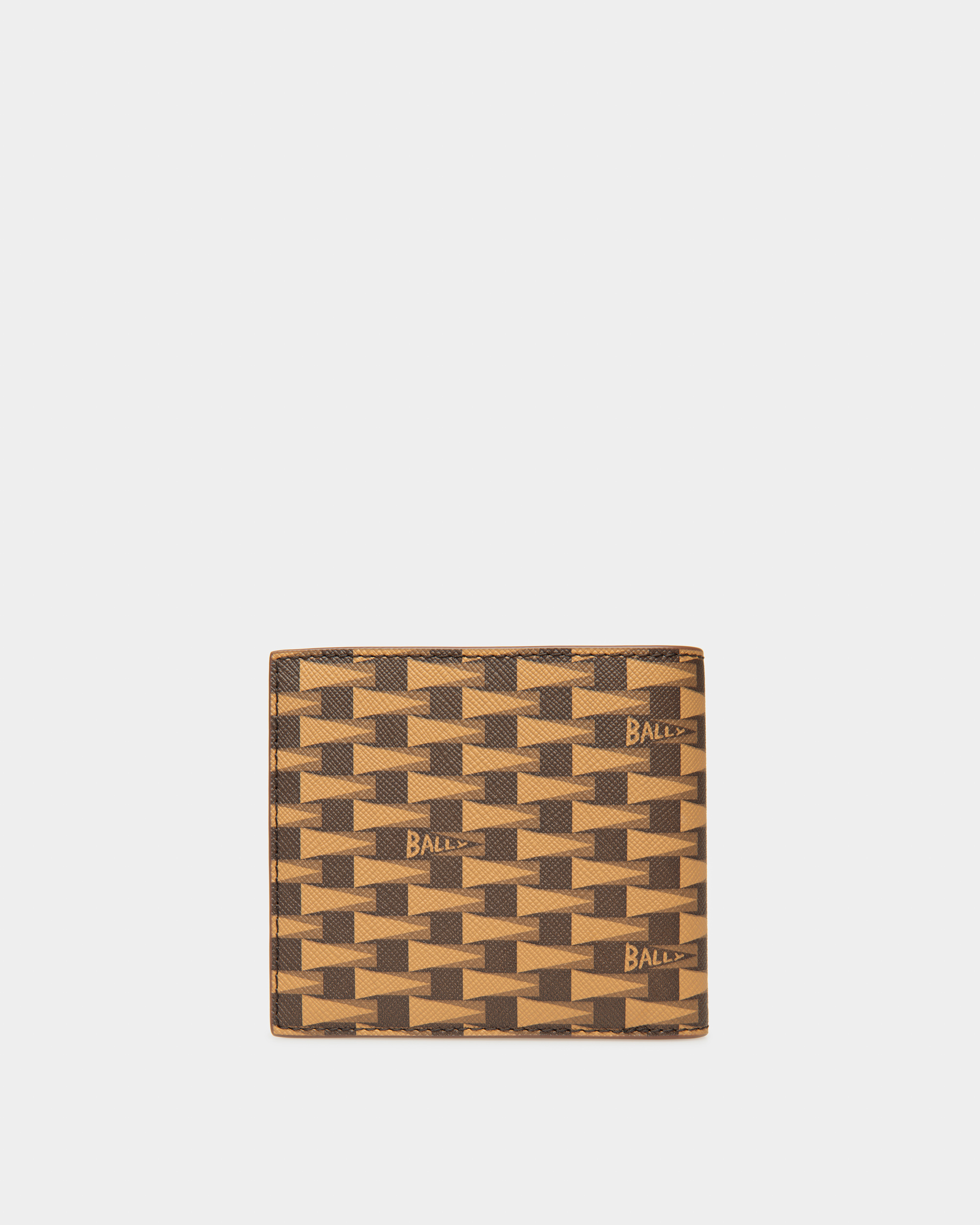 Pennant Wallet In Desert TPU