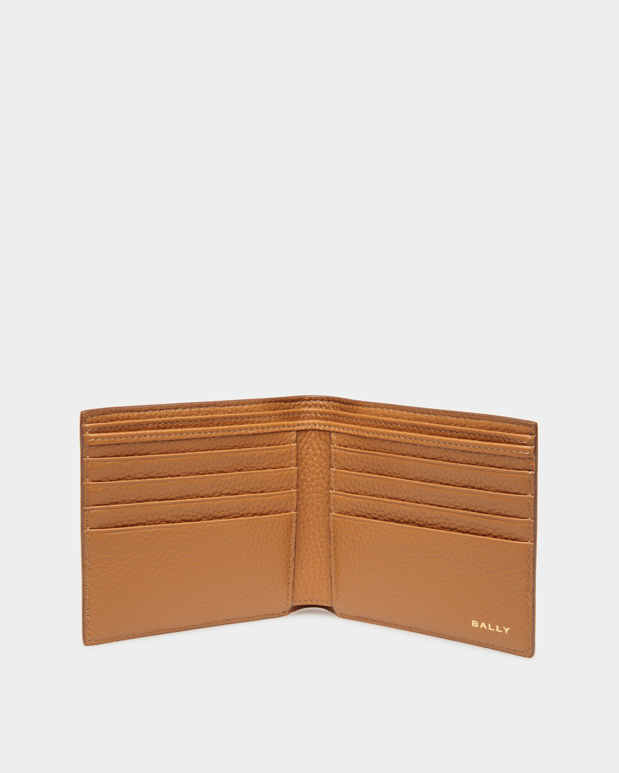 Pennant Wallet In Desert TPU
