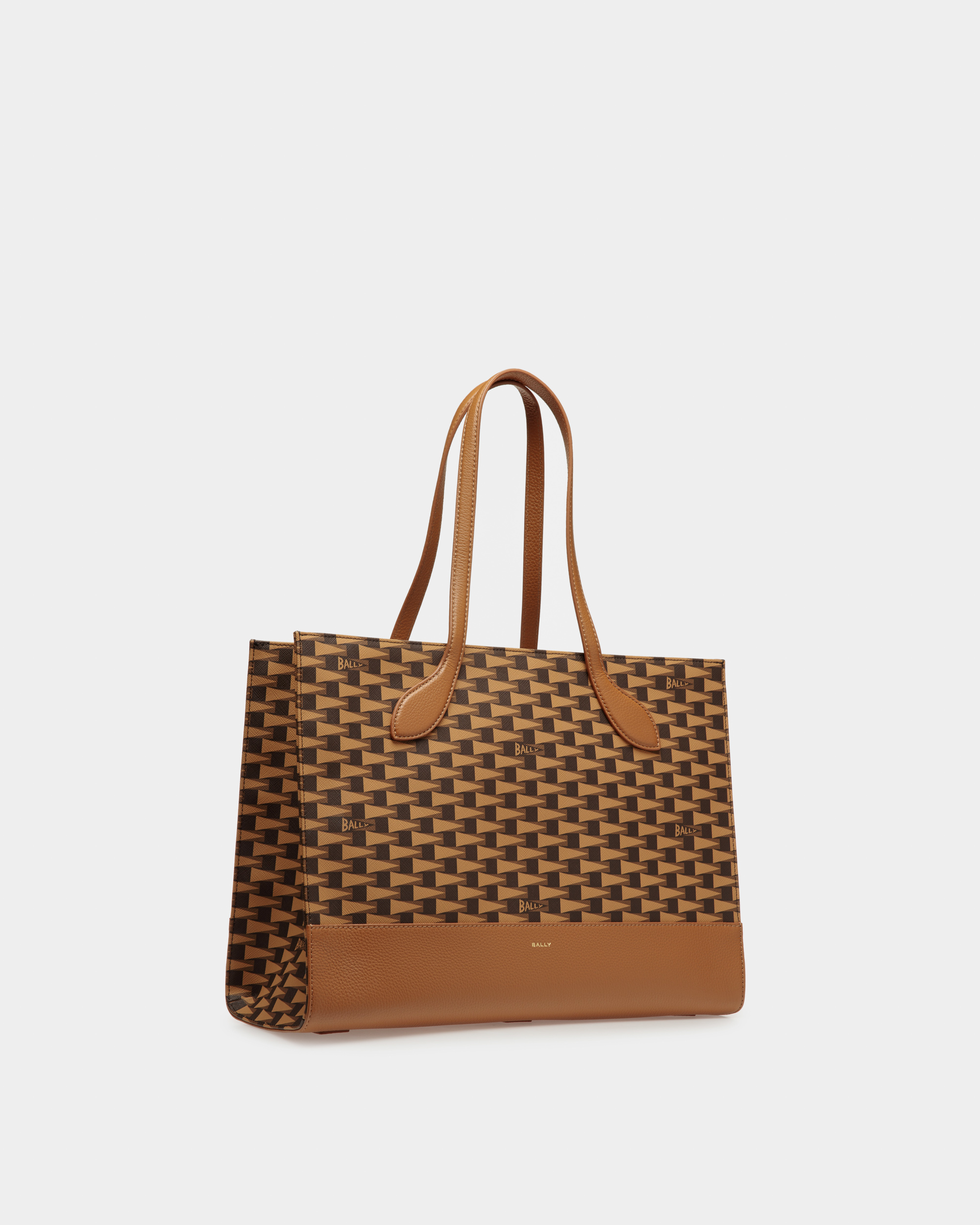 Pennant Tote Bag In Desert TPU