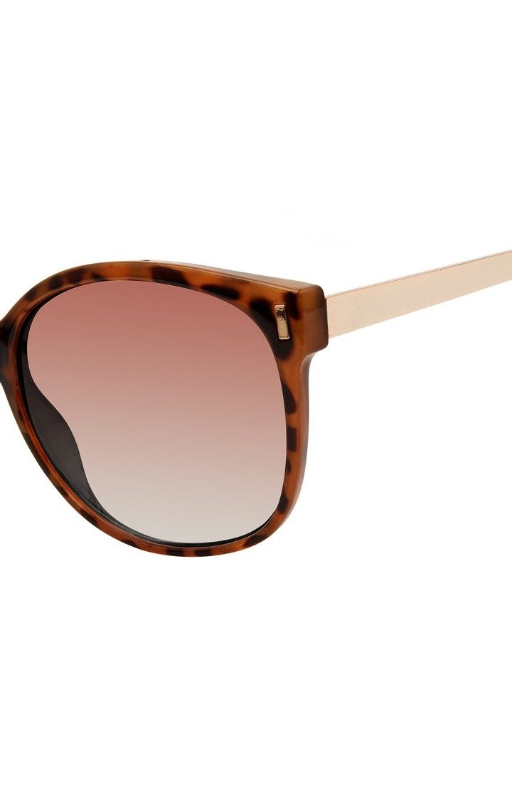 X17037 Brown Sunglasses