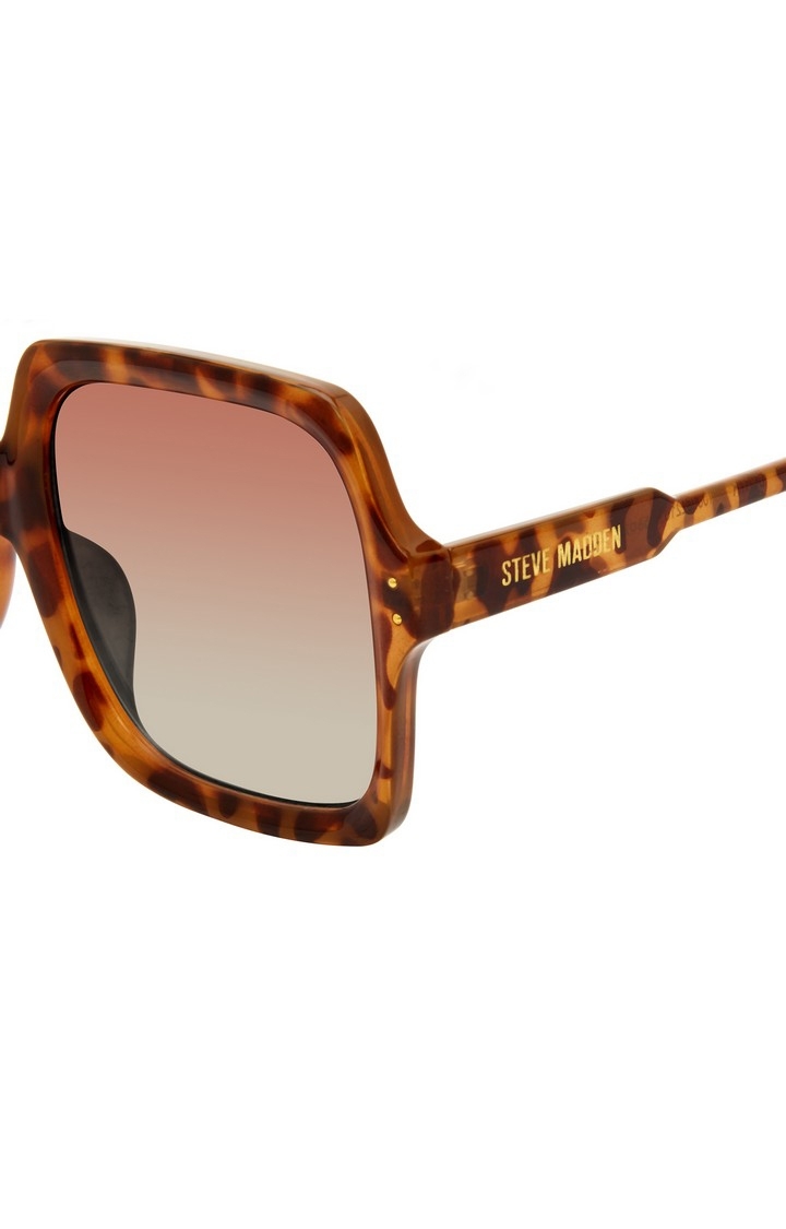 X17069 Brown Sunglasses