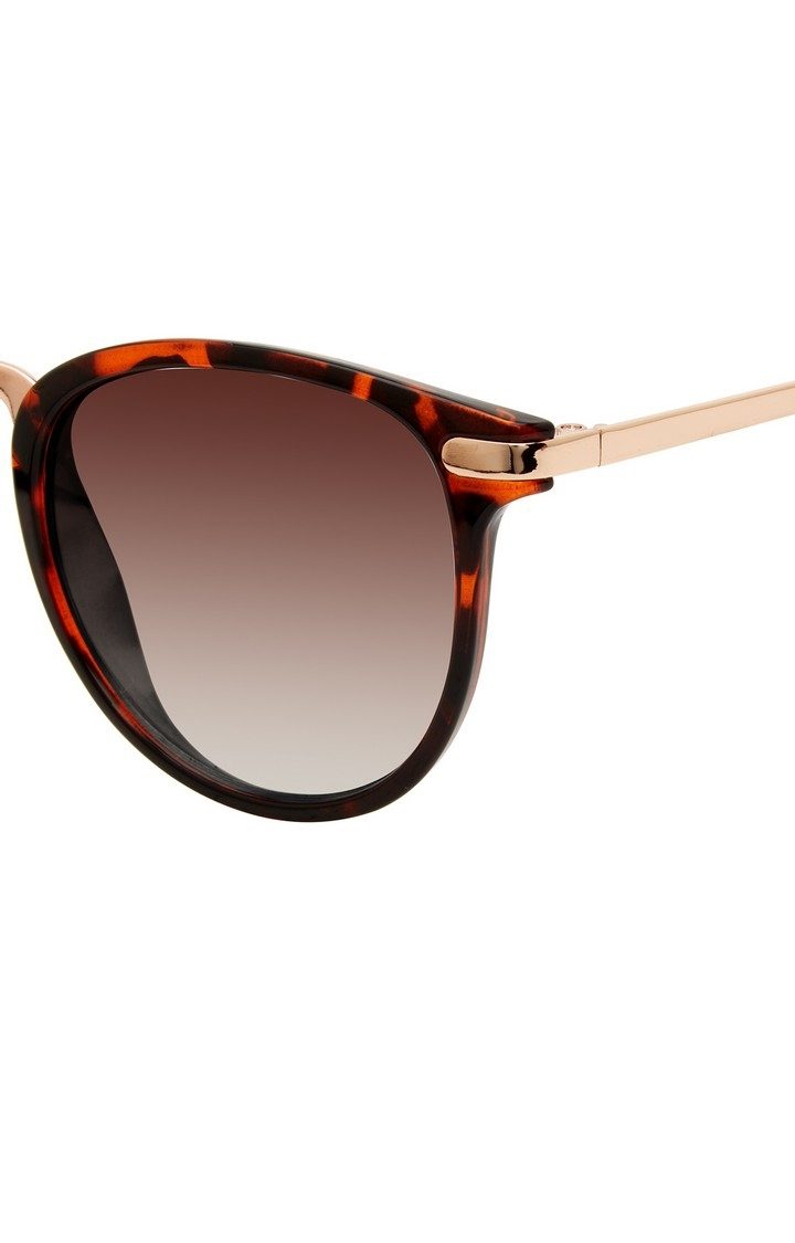 X17080 Brown Sunglasses