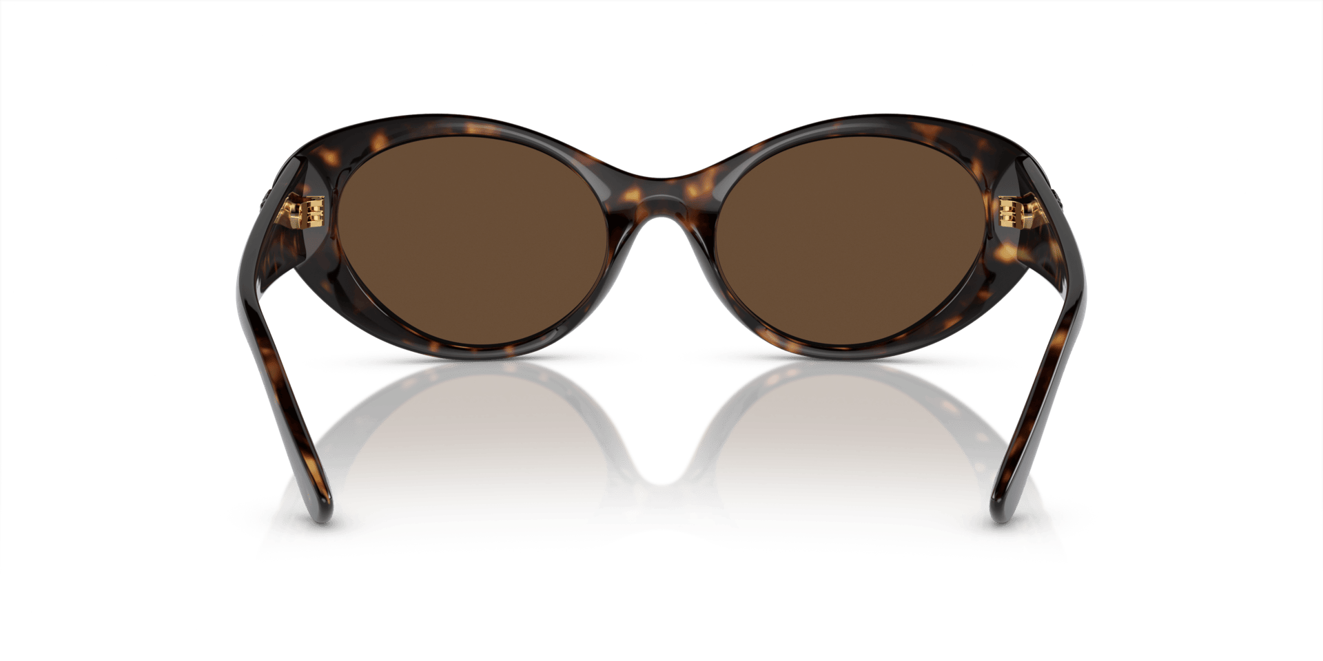 0VE4455U Injected Women Sunglasses