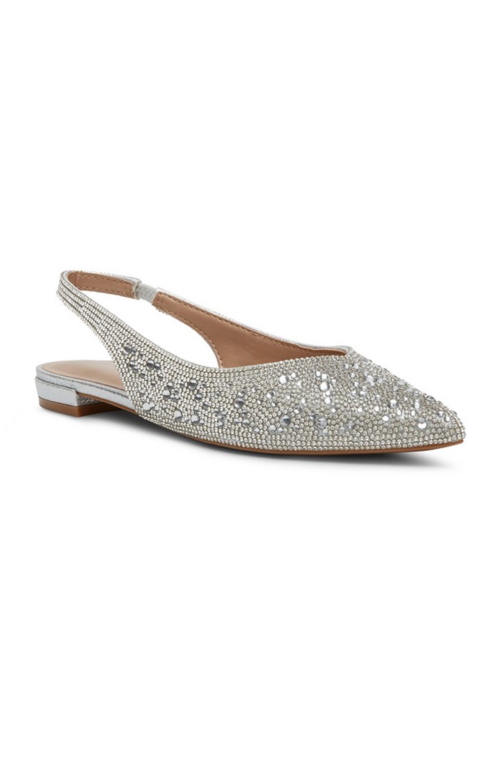 Delaney-R Silver Closed Flats & Ballerinas
