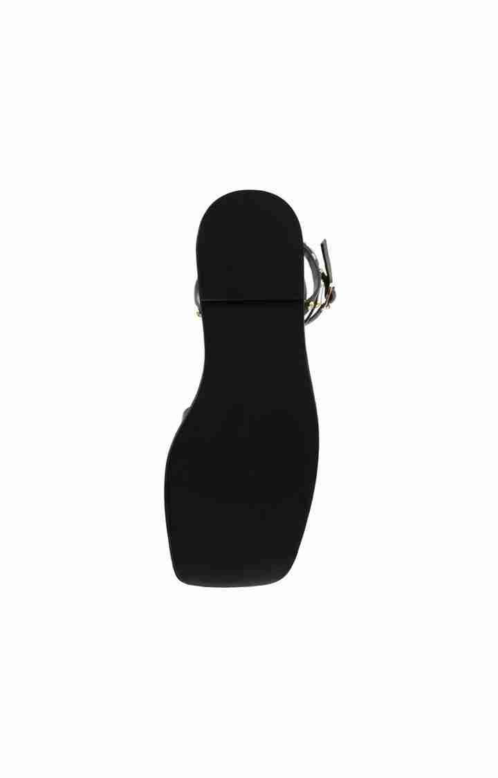 Trustee Black Flats