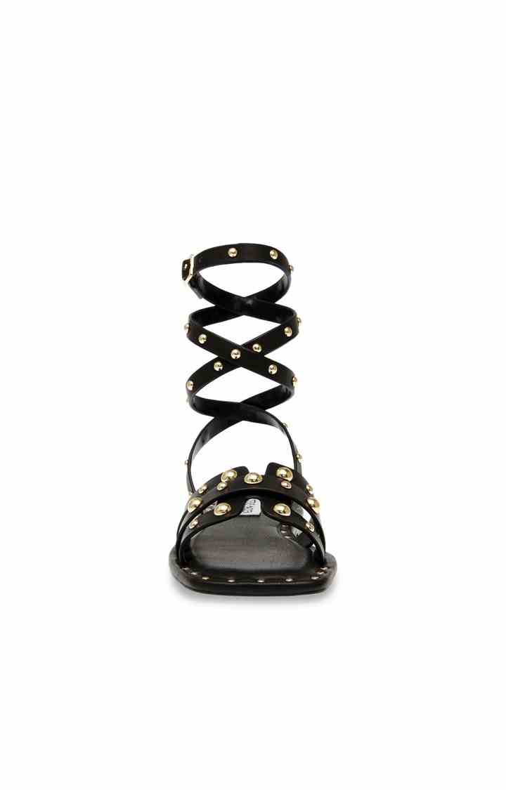 Trustee Black Flats