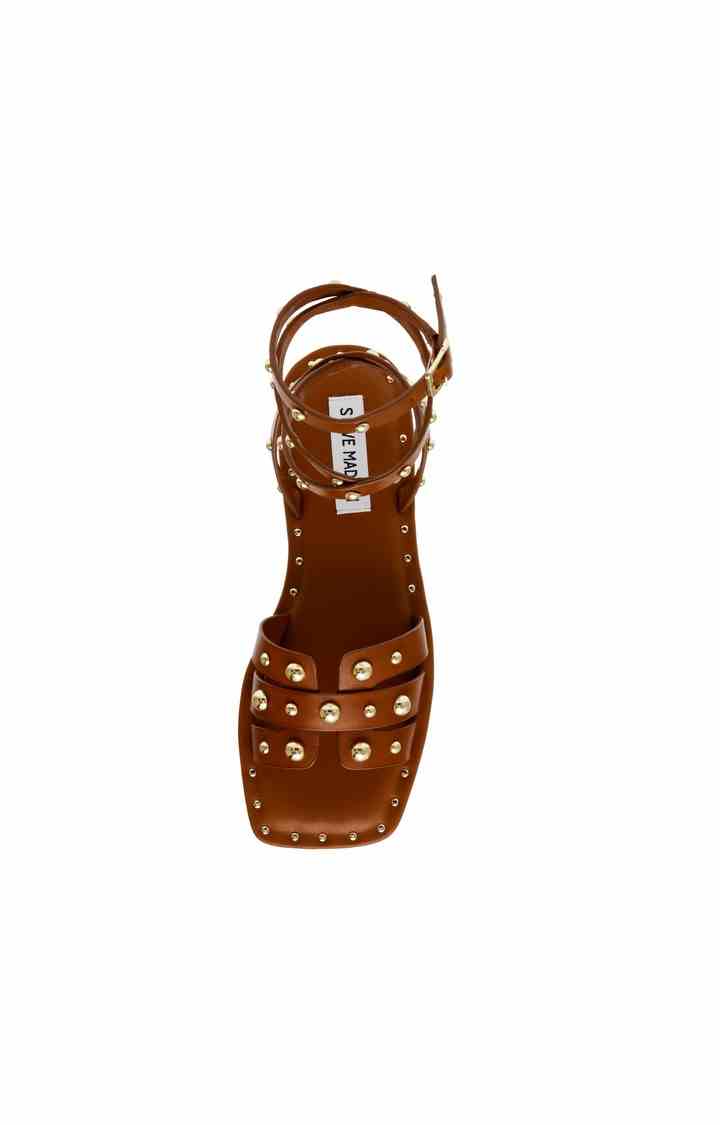 Trustee Brown Flats