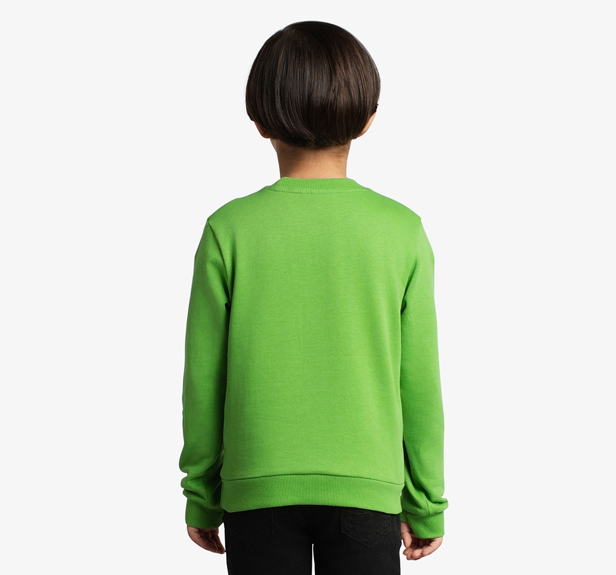 Boys Applique Printed Sweatshirt