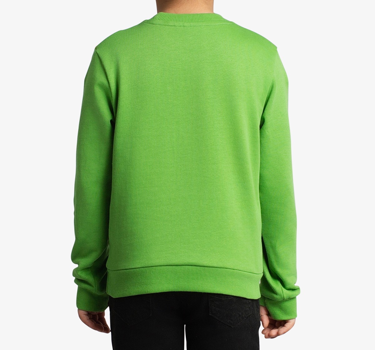 Boys Applique Printed Sweatshirt