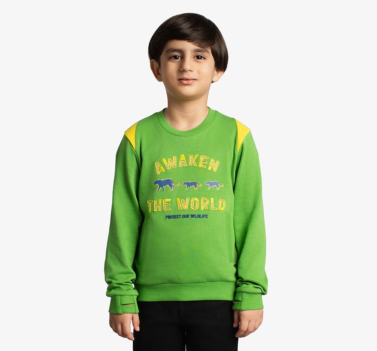 Boys Applique Printed Sweatshirt