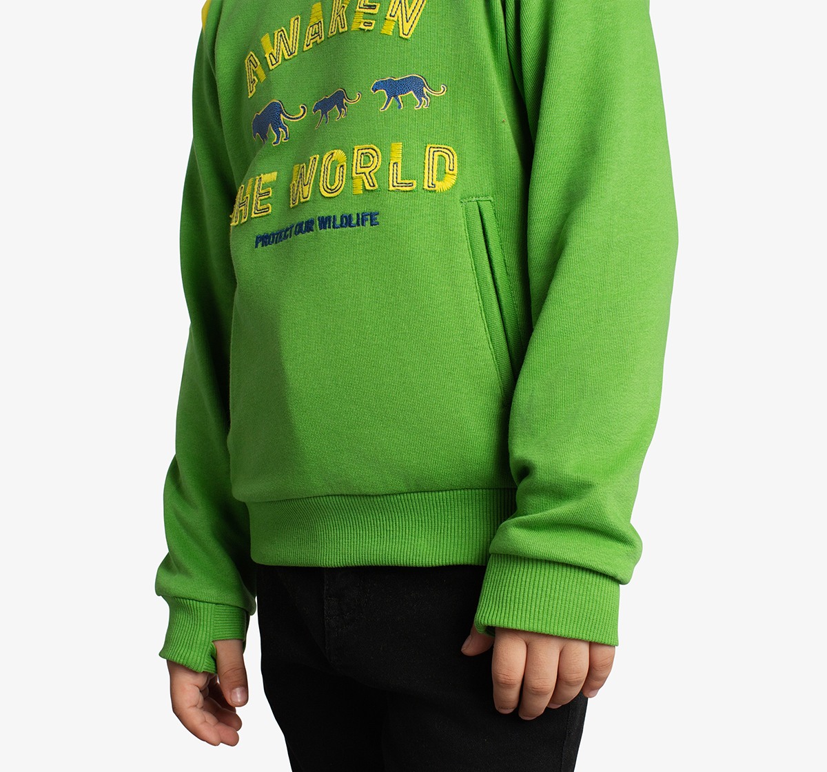 Boys Applique Printed Sweatshirt