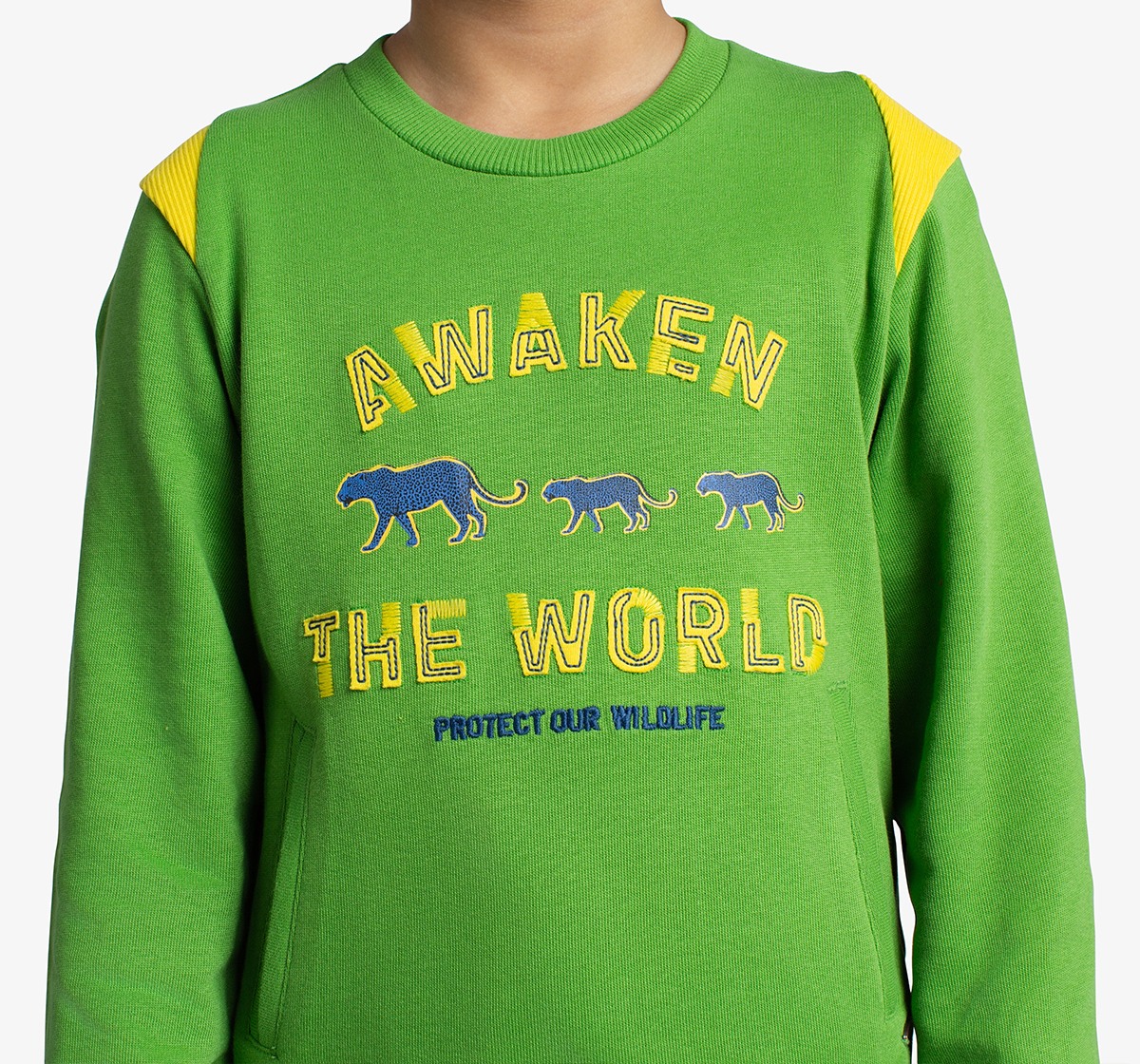 Boys Applique Printed Sweatshirt