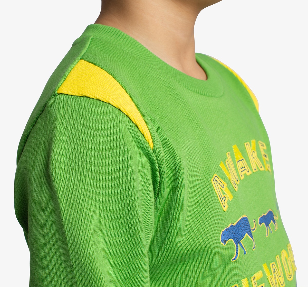 Boys Applique Printed Sweatshirt