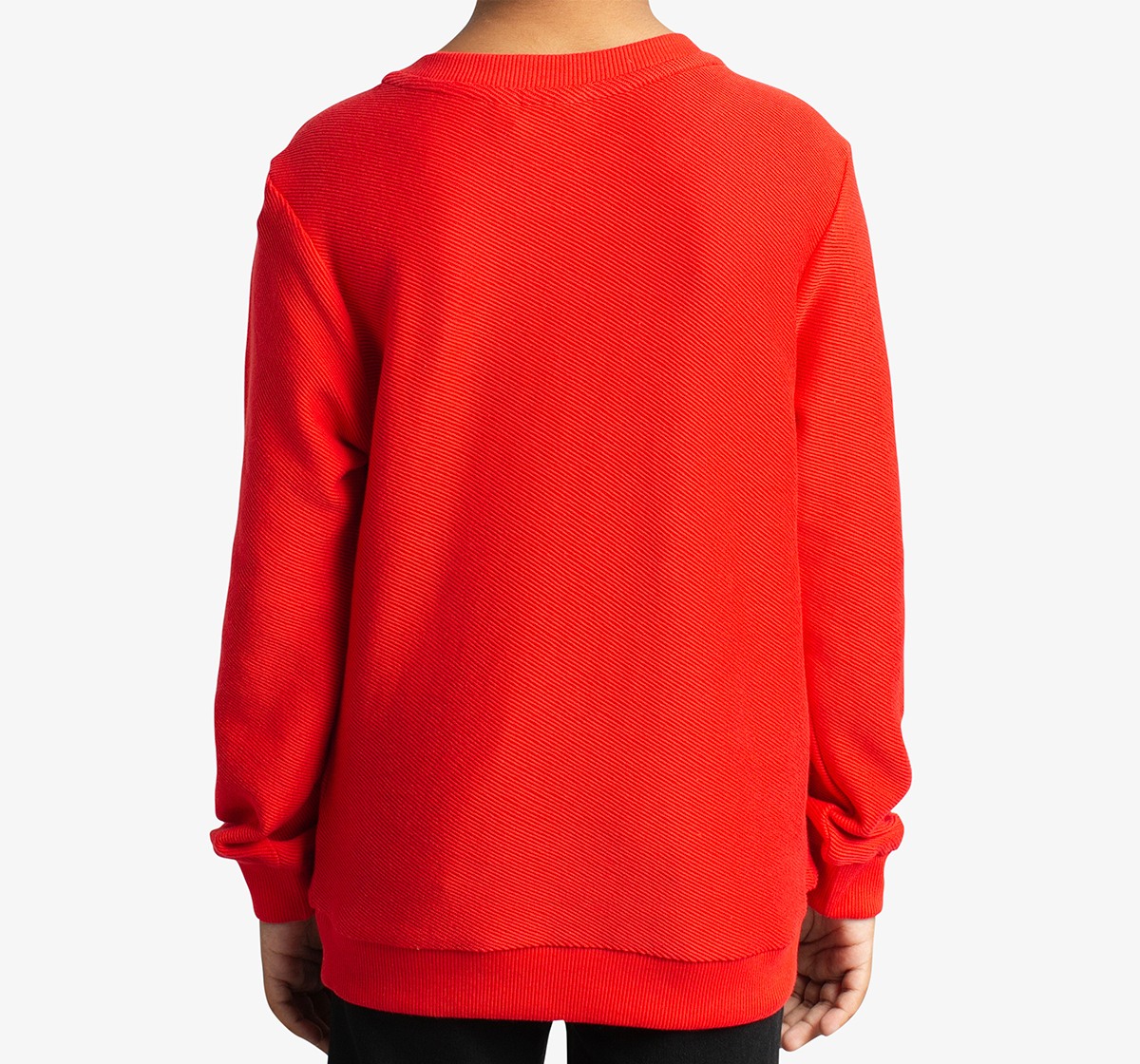 Boys Crew Neck Printed Sweatshirt