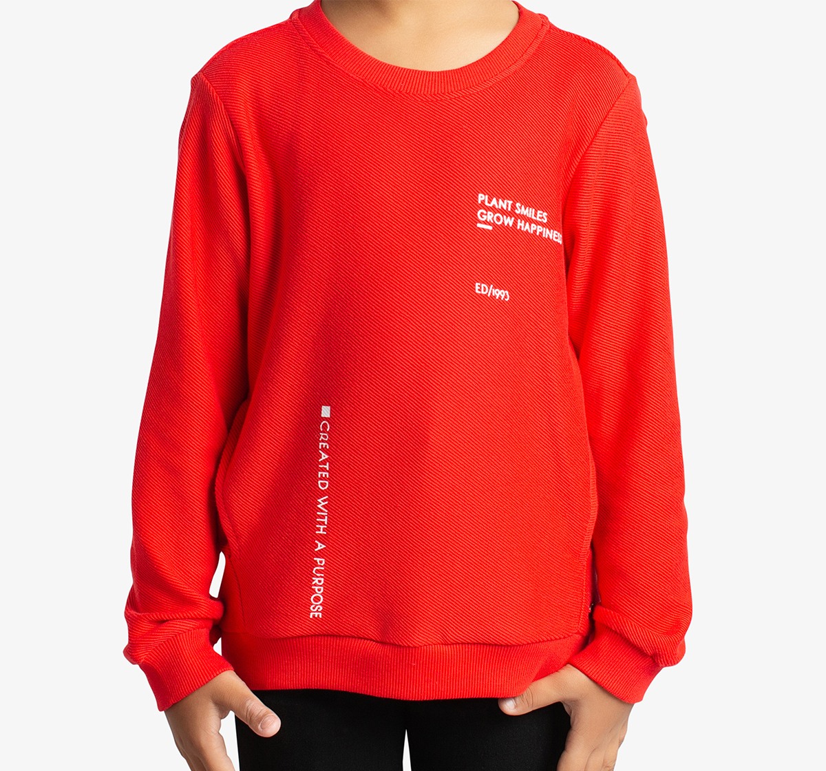 Boys Crew Neck Printed Sweatshirt