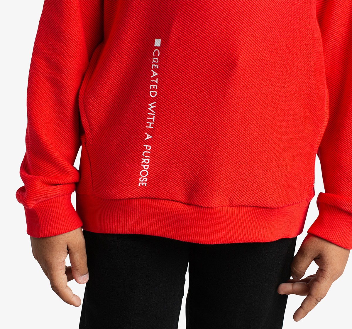 Boys Crew Neck Printed Sweatshirt