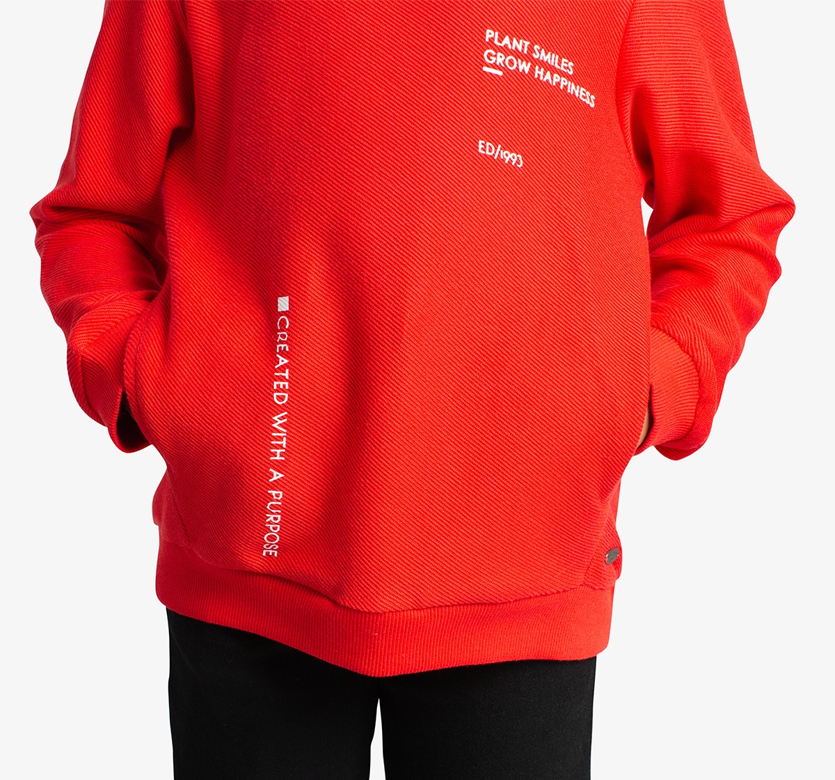 Boys Crew Neck Printed Sweatshirt