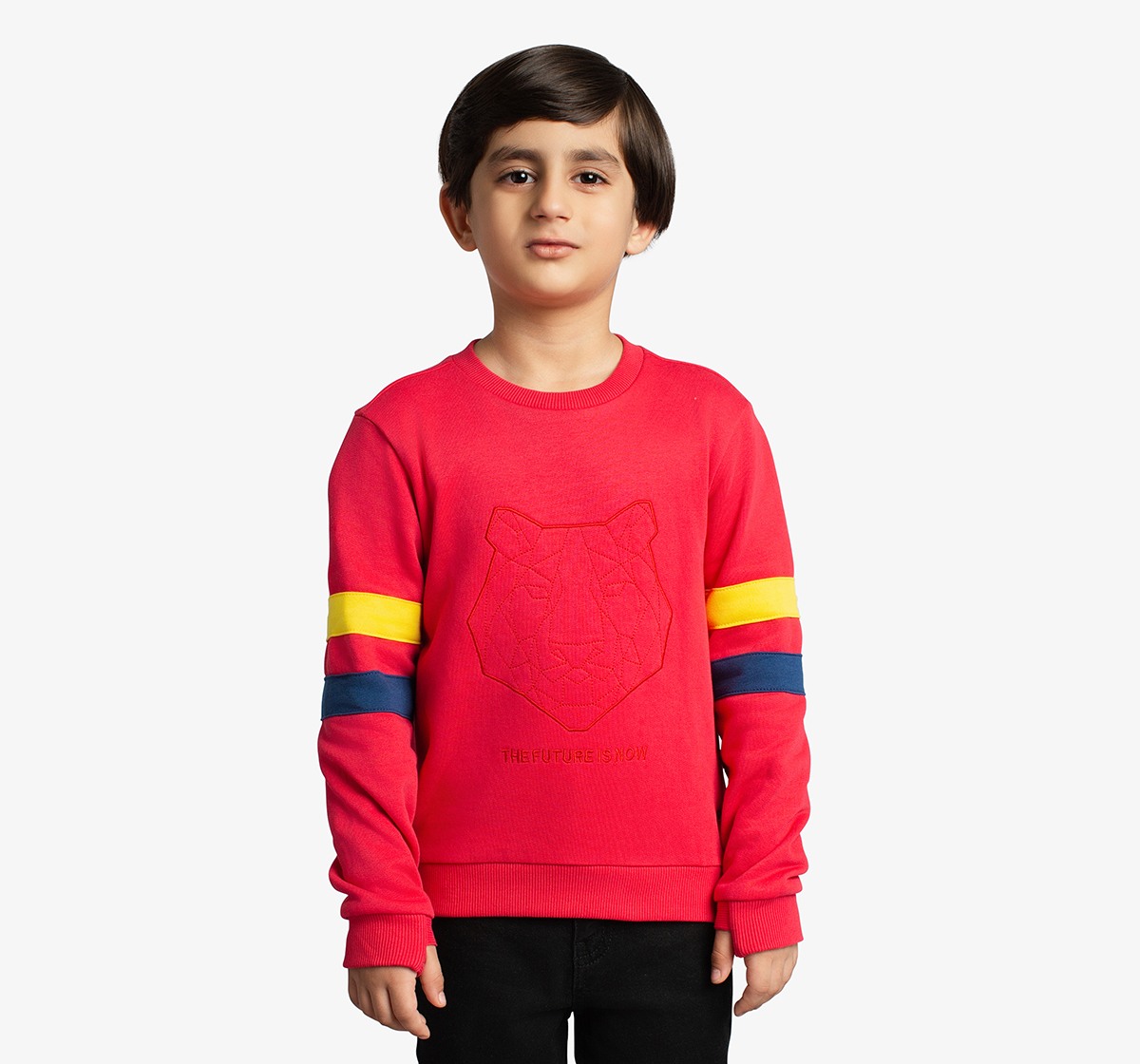 Boys Embroidered Sweatshirt