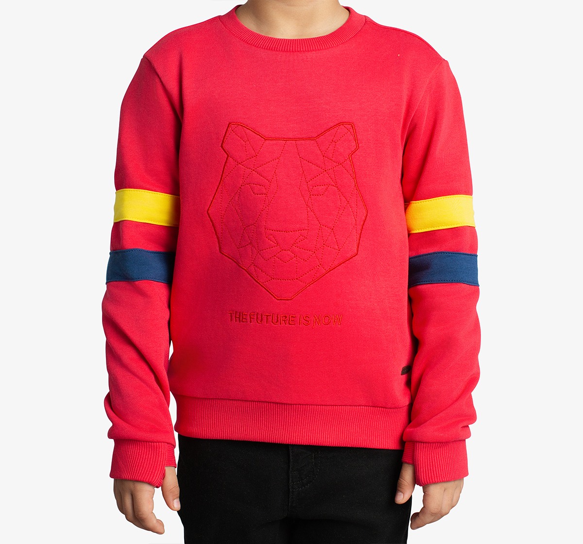 Boys Embroidered Sweatshirt