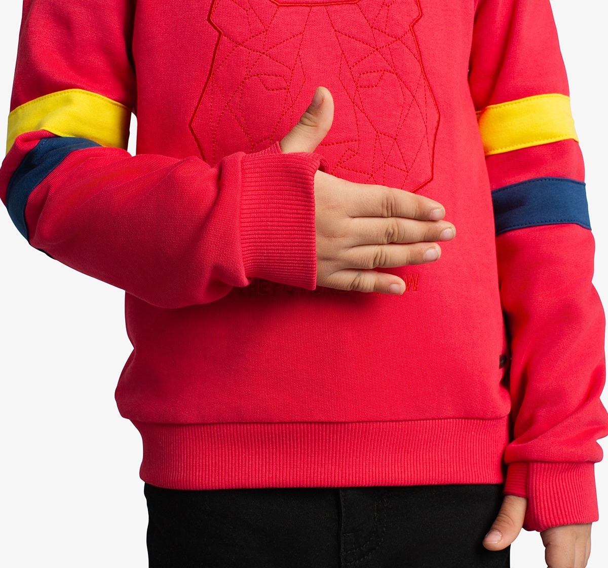 Boys Embroidered Sweatshirt