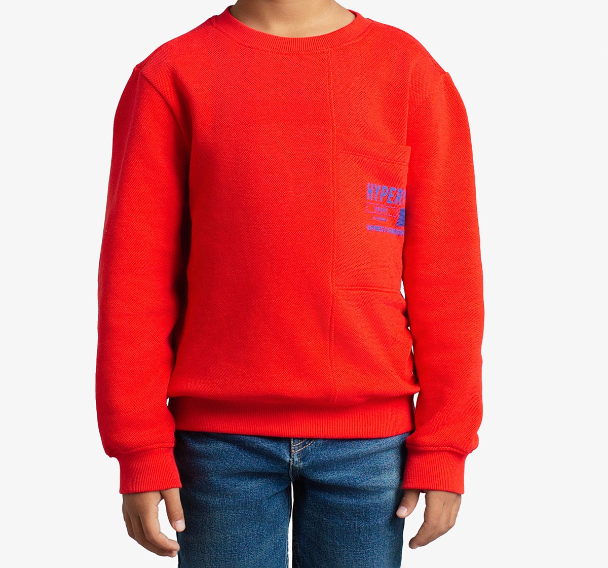 Boys Pique Printed Sweatshirt