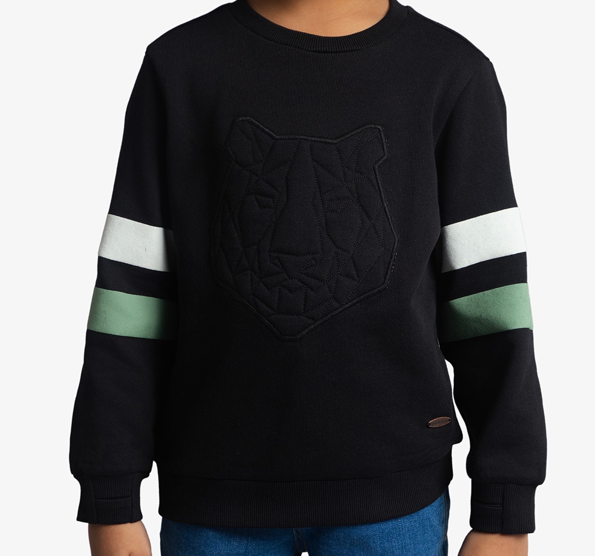 Boys Embroidered Sweatshirt