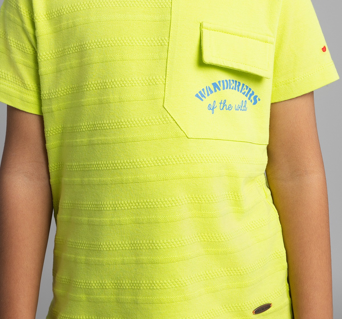 Boys Textured Knit Crew Neck Printed T-Shirt