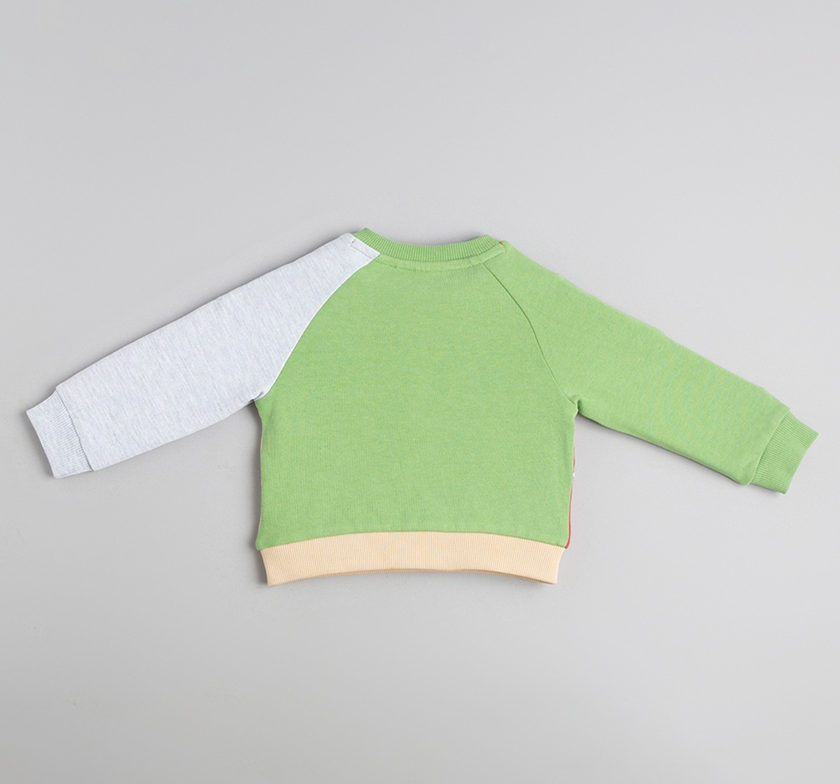 Baby Boys Colorblock Sweatshirt With Character