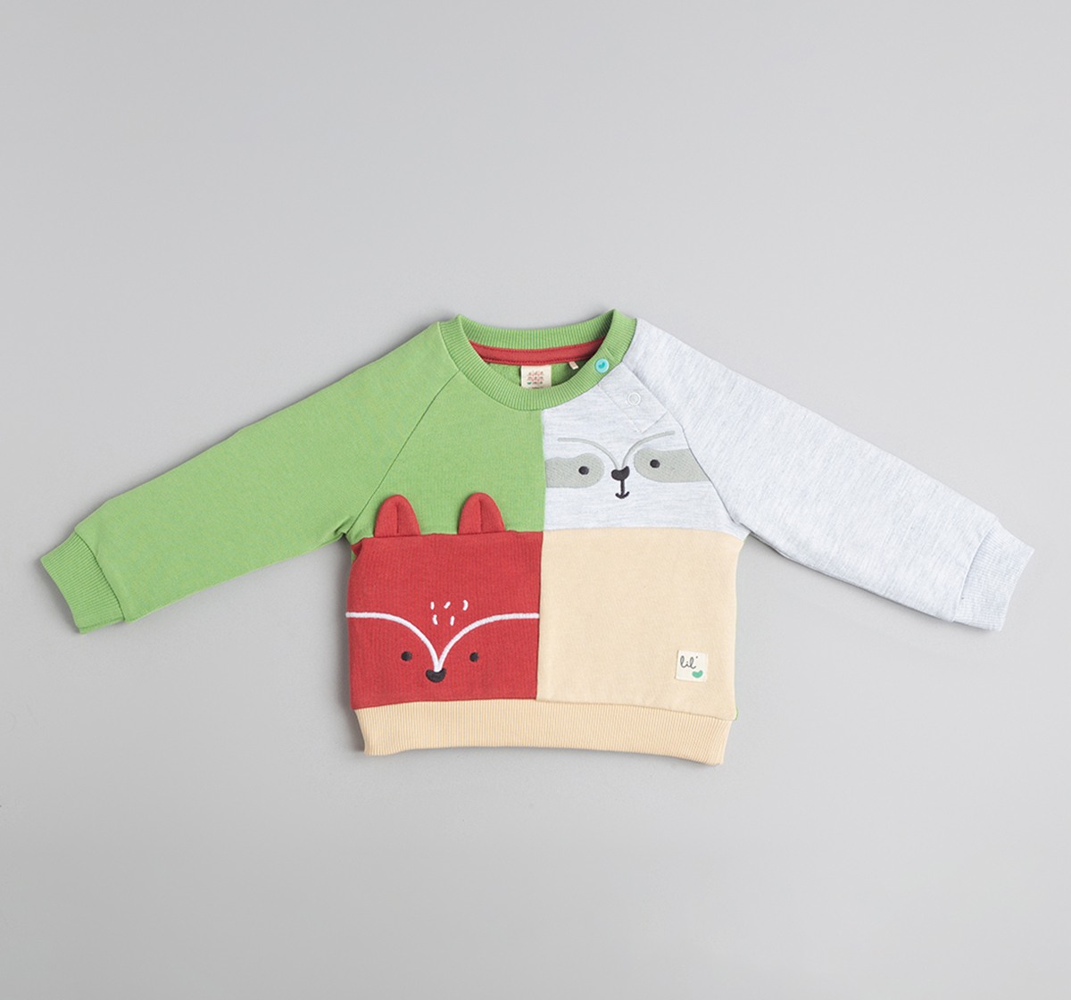 Baby Boys Colorblock Sweatshirt With Character